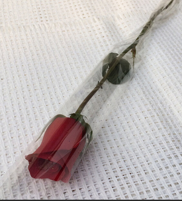 Bio-Degradable Transparent Flower Single Rose Sleeves for Flowers Shop / Retail Store