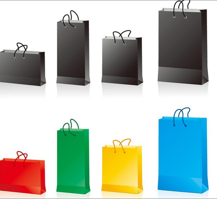 Custom Gifts Recycle Luxury Paper Shopping Bags with Logo Printing and Rope Handle